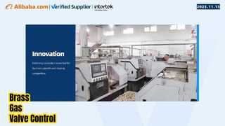 Usine de vannes à gaz /tuyaux/raccords en laiton Tubomart
